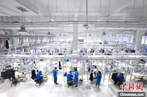 阿里動物園新成員 杭州余杭誕生的數(shù)字技術智能服裝制造企業(yè)